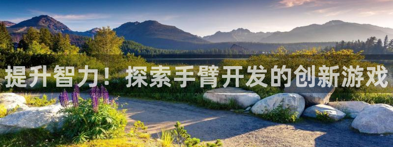 沐鸣娱乐注册平台是什么：提升智力！探索手