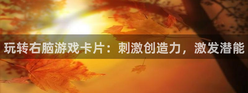 沐鸣登录地址：玩转右脑游戏卡片：刺激创造