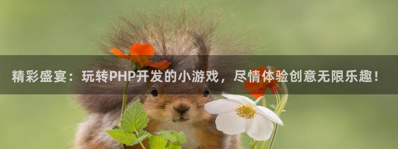 沐鸣平台注册登陆：精彩盛宴：玩转PHP开