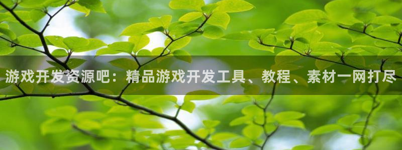 沐鸣网址：游戏开发资源吧：精品游戏开发工