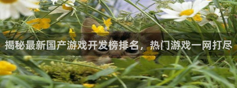 沐鸣科技有限公司怎么样：揭秘最新国产游戏