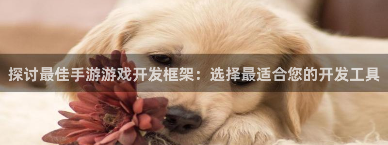 沐鸣娱乐官方网站下载：探讨最佳手游游戏开