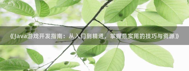 沐鸣娱乐：《Java游戏开发指南：从入门