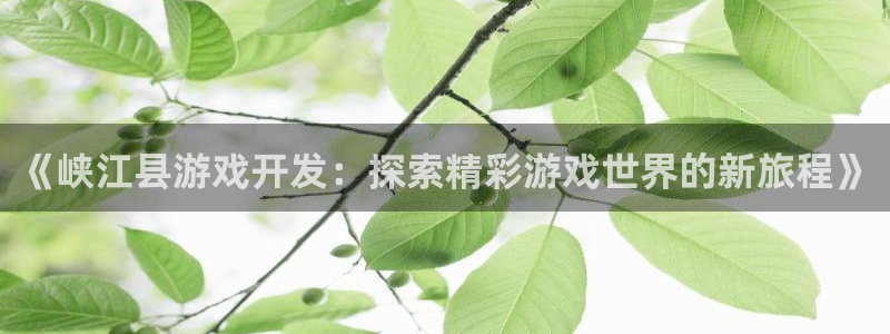 沐鸣娱乐1登录：《峡江县游戏开发：探索精