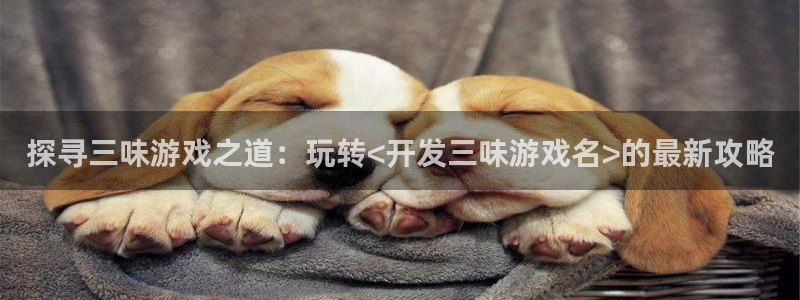 沐鸣娱乐官方网站首页：探寻三味游戏之道：