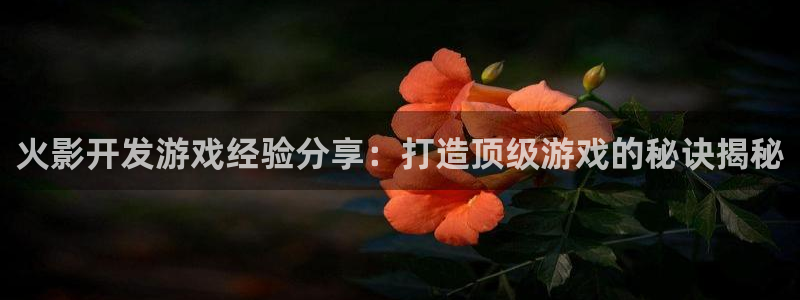 沐鸣平台官网：火影开发游戏经验分享：打造