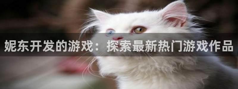 沐鸣平台app下载：妮东开发的游戏：探索