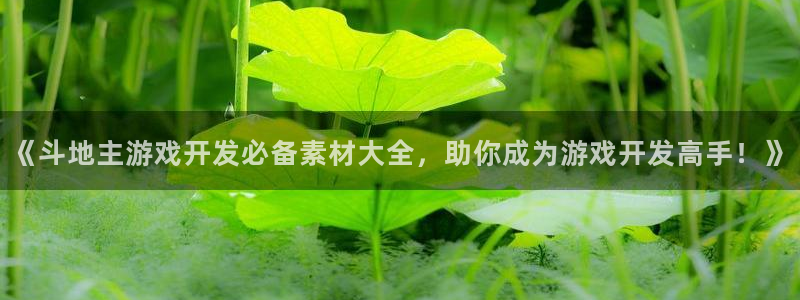 沐鸣娱乐平台登录入口下载：《斗地主游戏开