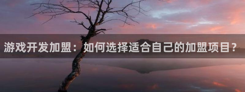 沐鸣3平台登录：游戏开发加盟：如何选择适