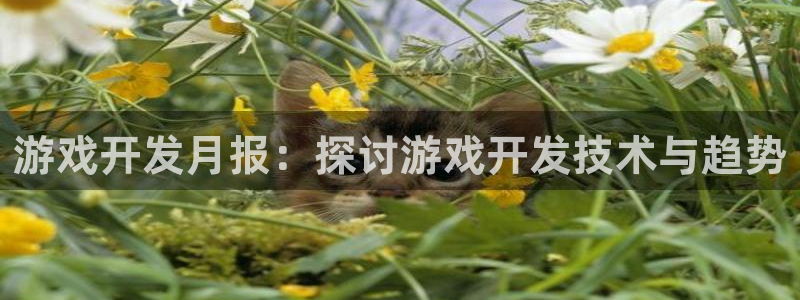沐鸣开户测速：游戏开发月报：探讨游戏开发