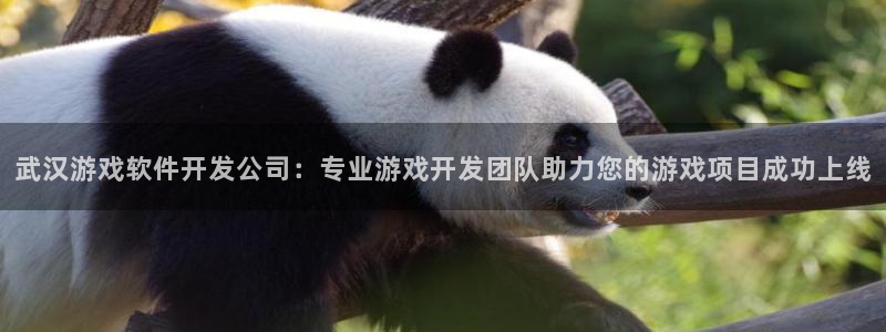 沐鸣科技和沐瞳科技哪个好：武汉游戏软件开