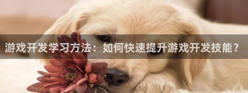 沐鸣总代~53866：游戏开发学习方法：