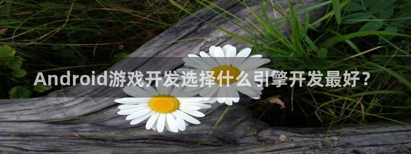 沐鸣登录地址：Android游戏开发选择