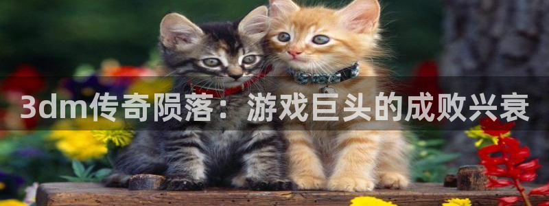 沐鸣娱乐官方平台怎么样：3dm传奇陨落：