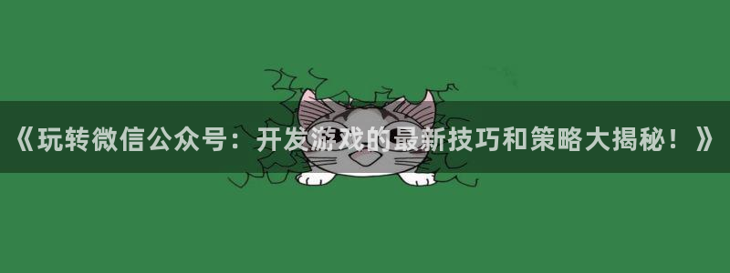 手机版沐鸣客户端下载：《玩转微信公众号：