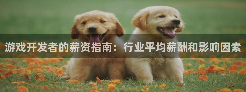 沐鸣娱乐1：游戏开发者的薪资指南：行业平