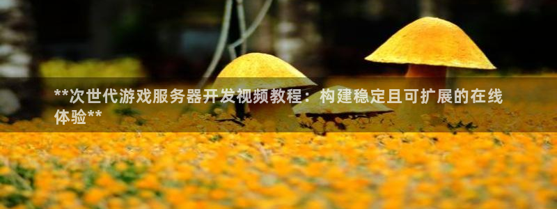 沐鸣娱乐二：**次世代游戏服务器开发视频