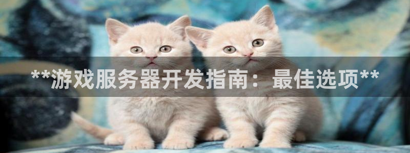 沐鸣娱乐注册登录平台：**游戏服务器开发