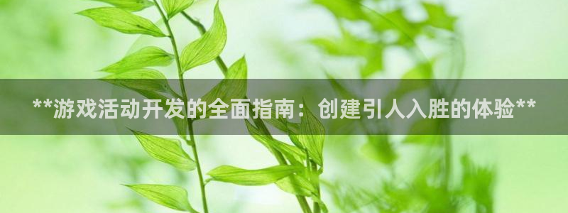 沐鸣平台登陆线路：**游戏活动开发的全面