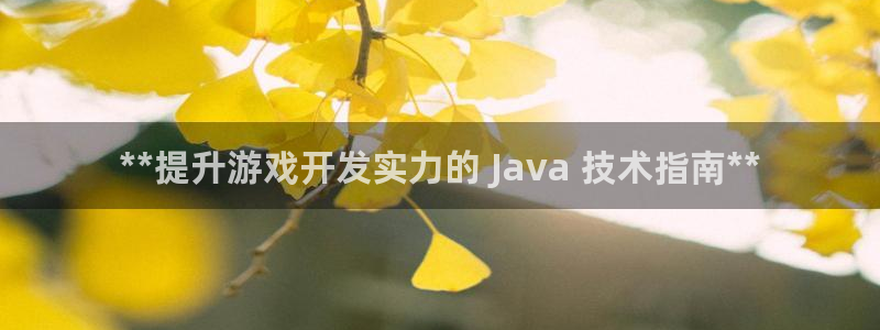 沐鸣科技有限公司地址：**提升游戏开发实