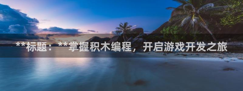 沐鸣科技游戏：**标题：**掌握积木编程