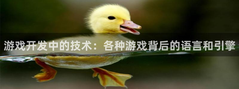 沐鸣娱乐客服：游戏开发中的技术：各种游戏