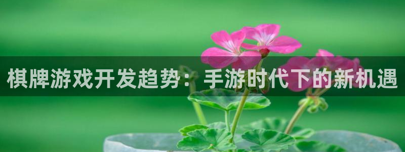 沐鸣平台怎么样：棋牌游戏开发趋势：手游时
