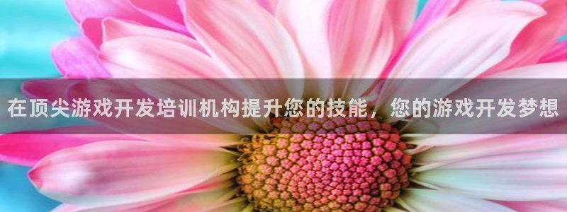 沐鸣3平台登录：在顶尖游戏开发培训机构提