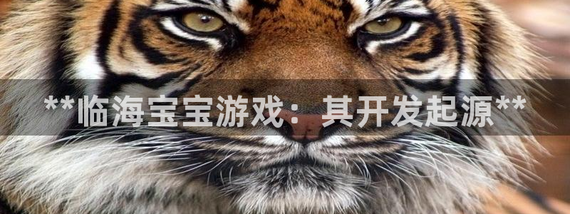 沐鸣娱乐1：**临海宝宝游戏：其开发起源