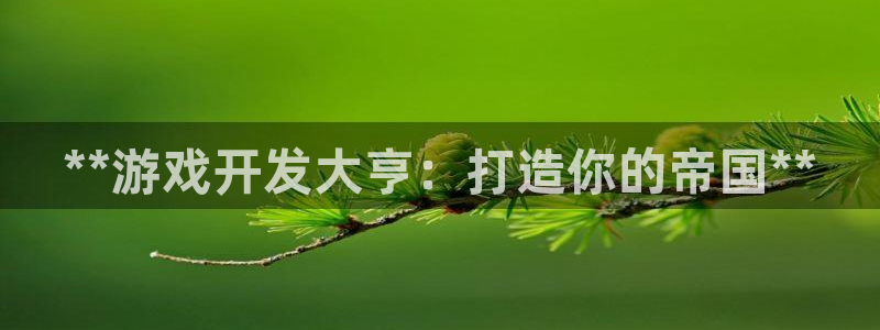 沐鸣平台官方网站：**游戏开发大亨：打造