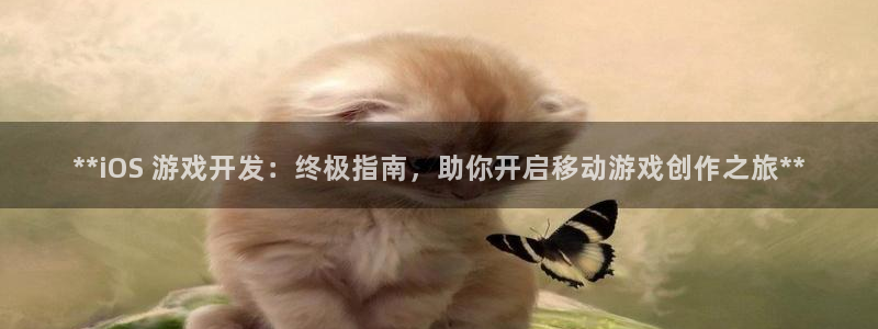 沐鸣娱乐平台大不大呀：**iOS 游戏开