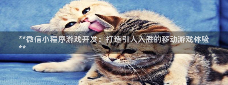 沐鸣网址官网首页：**微信小程序游戏开发