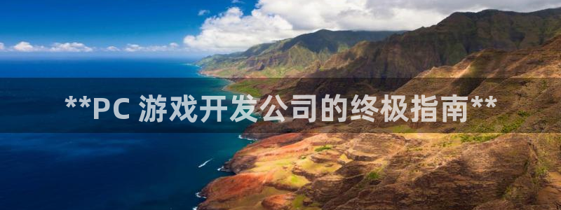 沐鸣娱乐平台大不大：**PC 游戏开发公