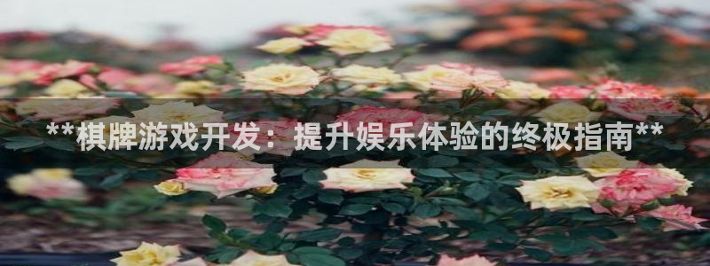 沐鸣3注册代理：**棋牌游戏开发：提升娱