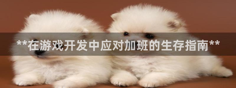 沐鸣科技业务员怎么样：**在游戏开发中应