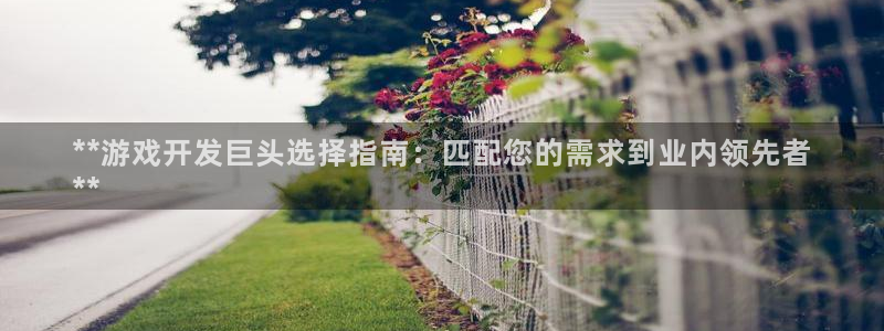 沐鸣娱乐是什么：**游戏开发巨头选择指南