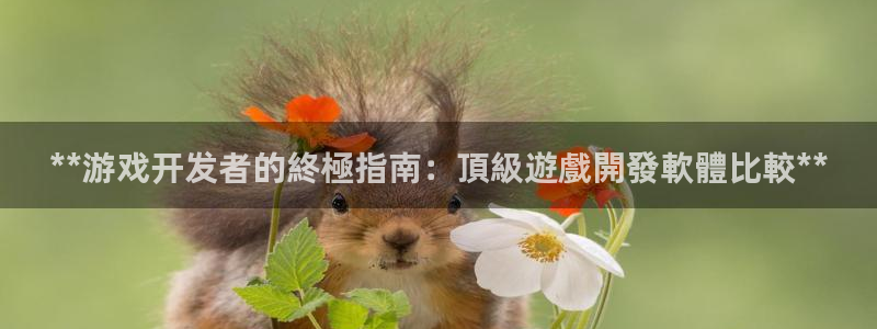 沐鸣娱乐是国外的吗：**游戏开发者的終極
