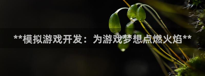 沐鸣开户测速：**模拟游戏开发：为游戏梦