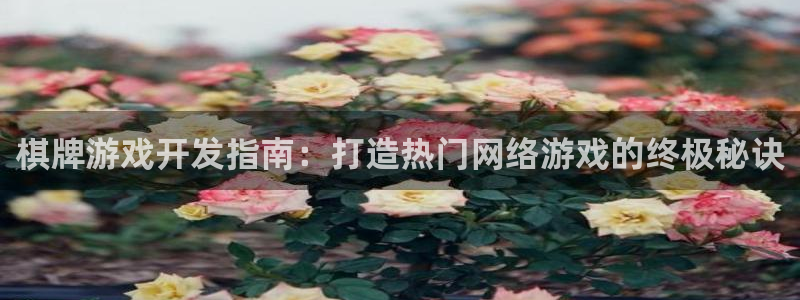沐鸣4开户：棋牌游戏开发指南：打造热门网