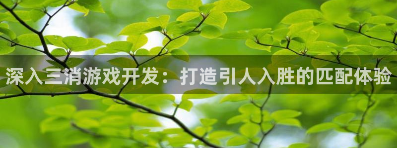 沐鸣开户计划：深入三消游戏开发：打造引人