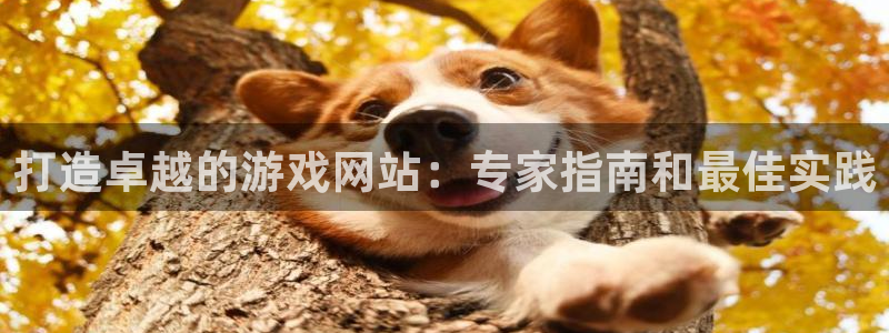 沐鸣娱乐平台登录不上：打造卓越的游戏网站