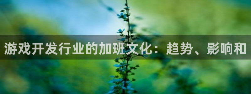 沐鸣科技怎么样知乎：游戏开发行业的加班文