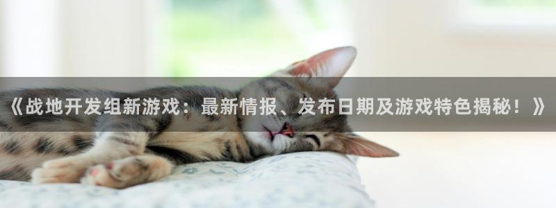沐鸣网址官网：《战地开发组新游戏：最新情