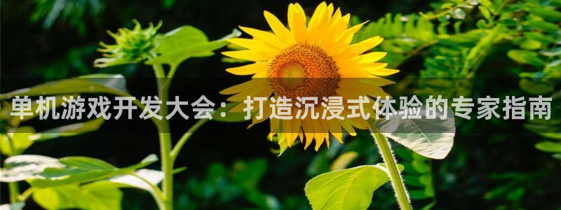 沐鸣娱乐官方平台下载：单机游戏开发大会：