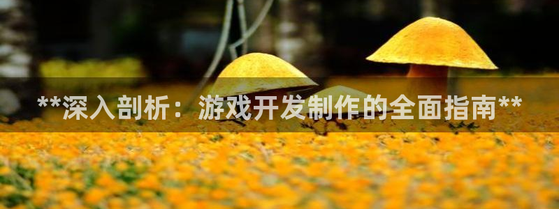 沐鸣线路测试：**深入剖析：游戏开发制作