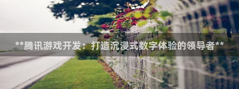 沐鸣线路测试：**腾讯游戏开发：打造沉浸