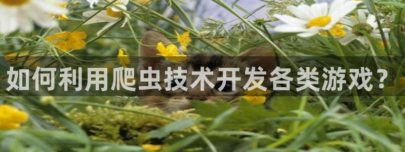 沐鸣网址官网：如何利用爬虫技术开发各类游