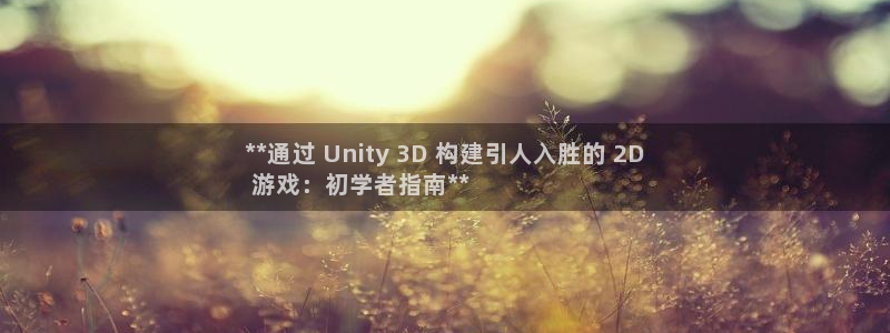 沐鸣科技有限公司：**通过 Unity 