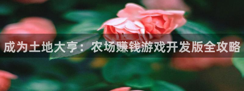 沐鸣科技怎么样：成为土地大亨：农场赚钱游
