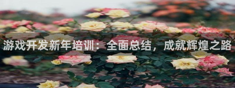 沐鸣网址注册：游戏开发新年培训：全面总结